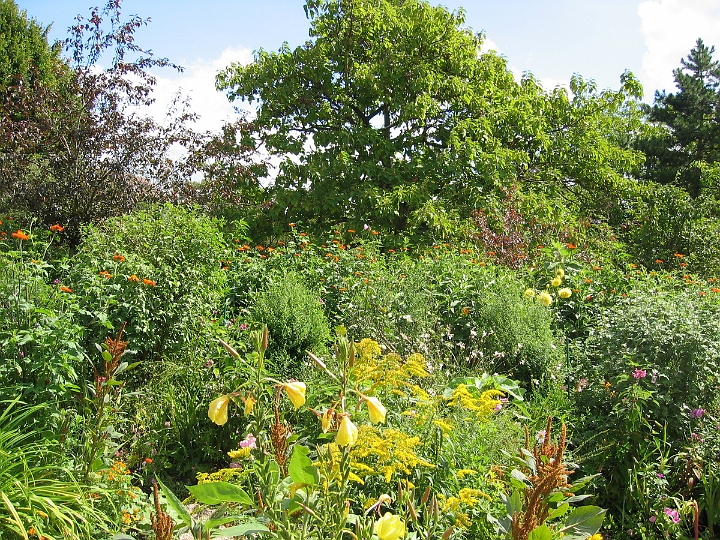 27 Giverny gardens.jpg